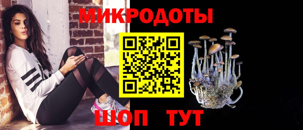 Псилоцибиновые грибы GOLDEN TEACHER Зеленодольск